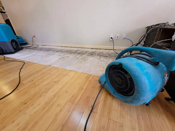 Professional Water Removal technician working in Westwood, PA